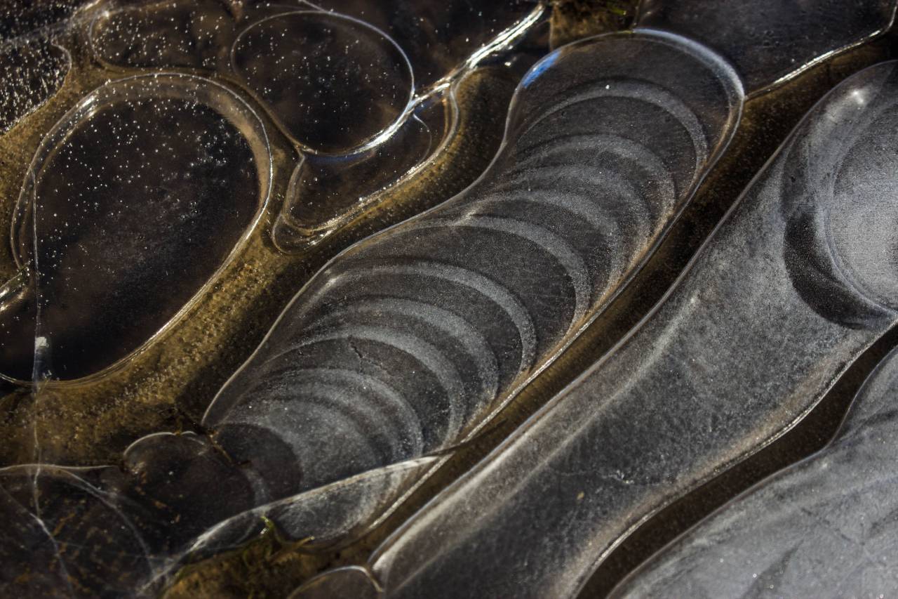 texture, ice, water, puddle, ground, background, freeze
, 