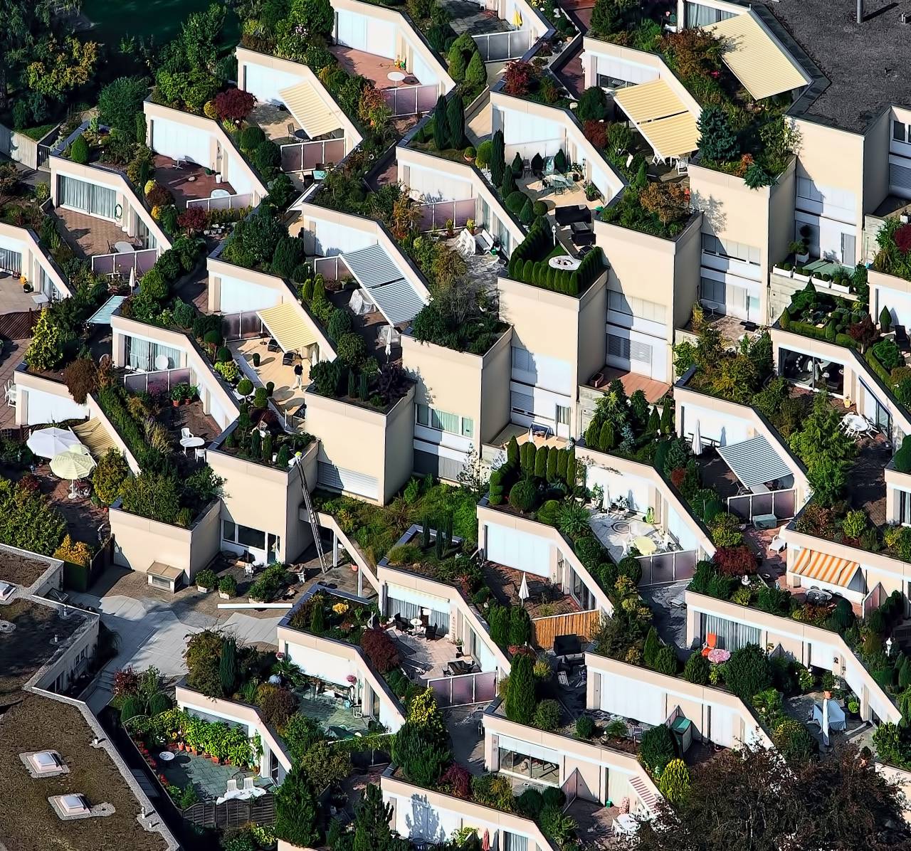 aerial, view, houses, green, plant, nature, outdoor, village, architecture, structure
, 