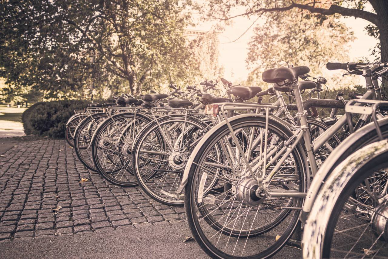 bikes, bicycles, racks, cobblestone, park, trees
, 