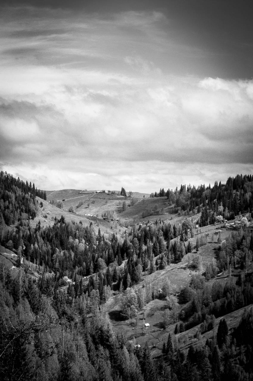 árboles, colinas, gris, negro, nubes, oscuro, valle,