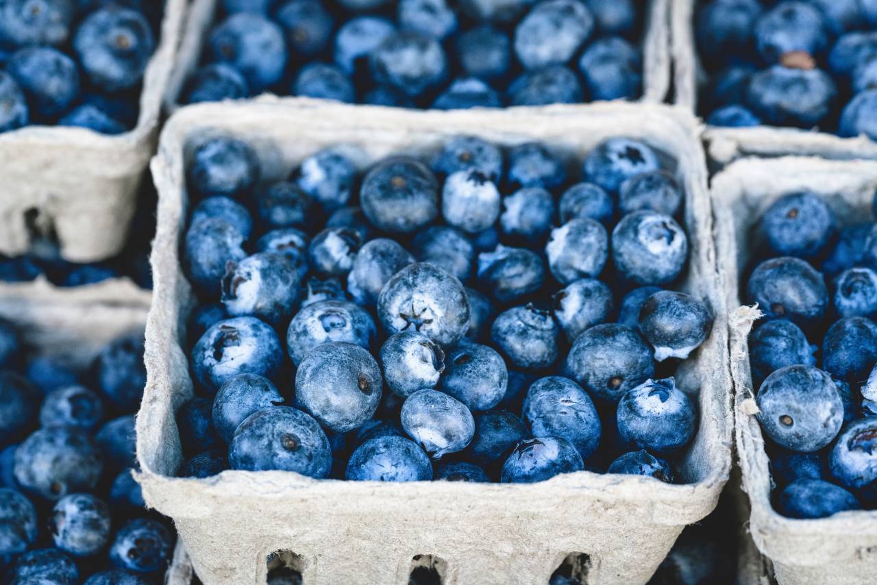 blueberries, blueberry, fruits, basket, food, market
, 