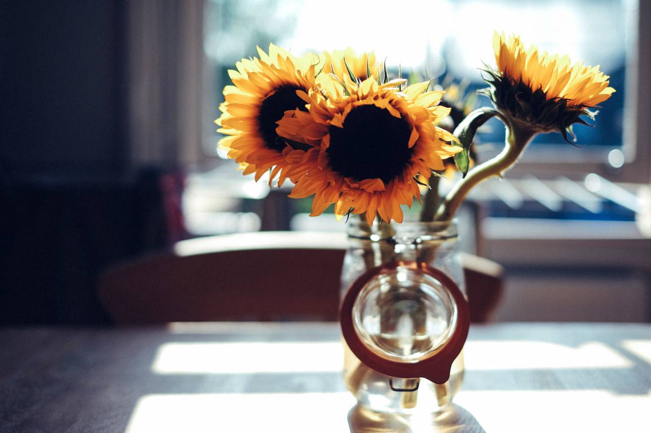 difuminar, soleado, flor, mesa, silla, vidrio, tarro,