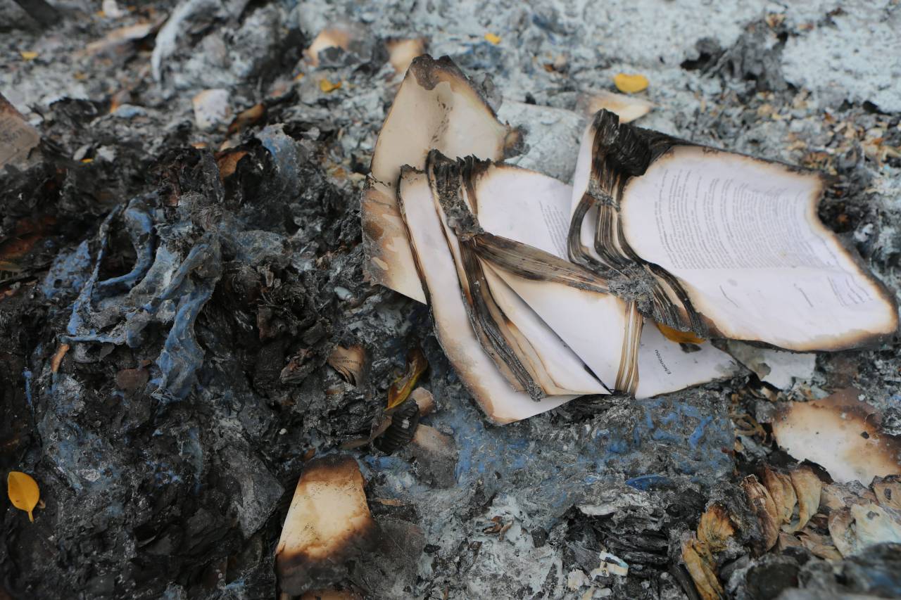 books, burnt, burning, ashes, fire, pages
, 