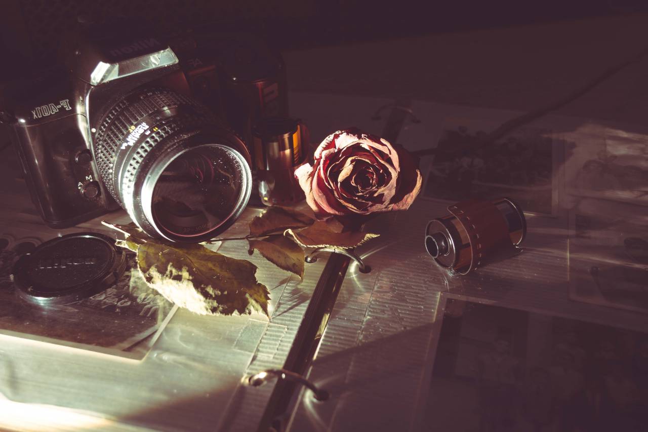 camera, old, vintage, film, lens, analog, shutter, iso, aperture, manual, rose, petal, autumn, fall
, 