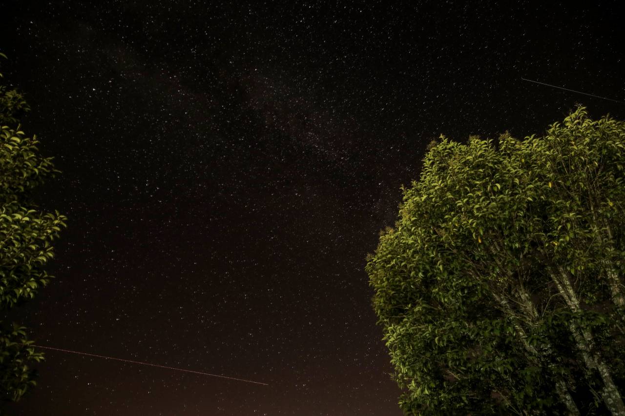 galaxy, night, stars, shooting, trees, dark, sky, nature, space
, 