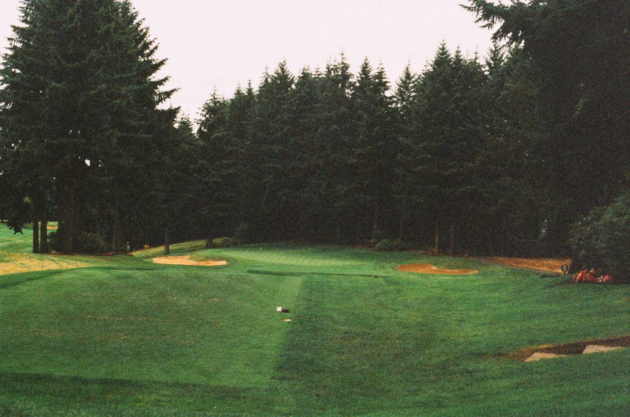 golf course, fairway, green, sand trap, sports, trees, forest, green, hole
, 