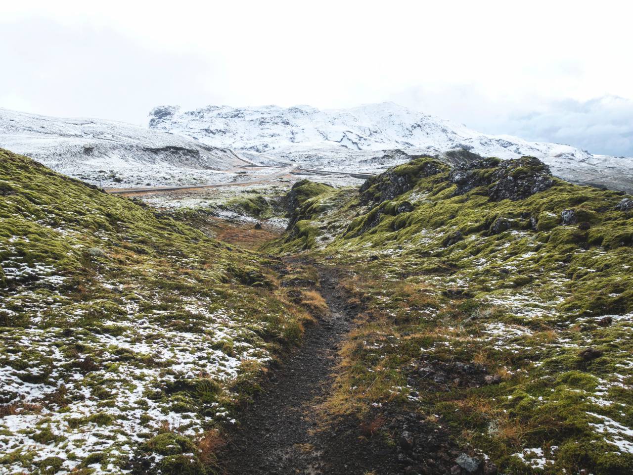 green, grass, plant, moss, path, road, mountain, rock, snow, winter, highland, landscape, outdoor, travel
, 