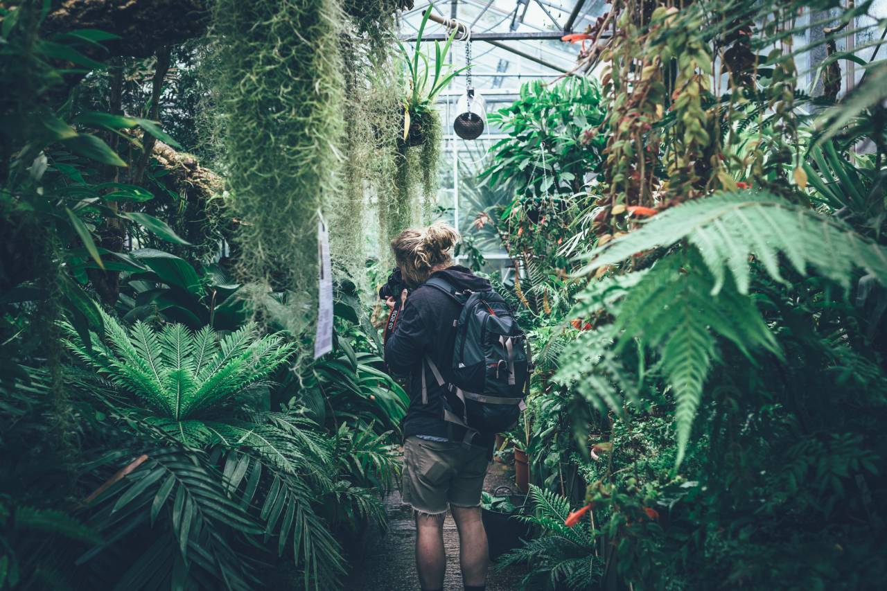 green, plants, nature, garden, outside, farm, people, man, photographer
, 