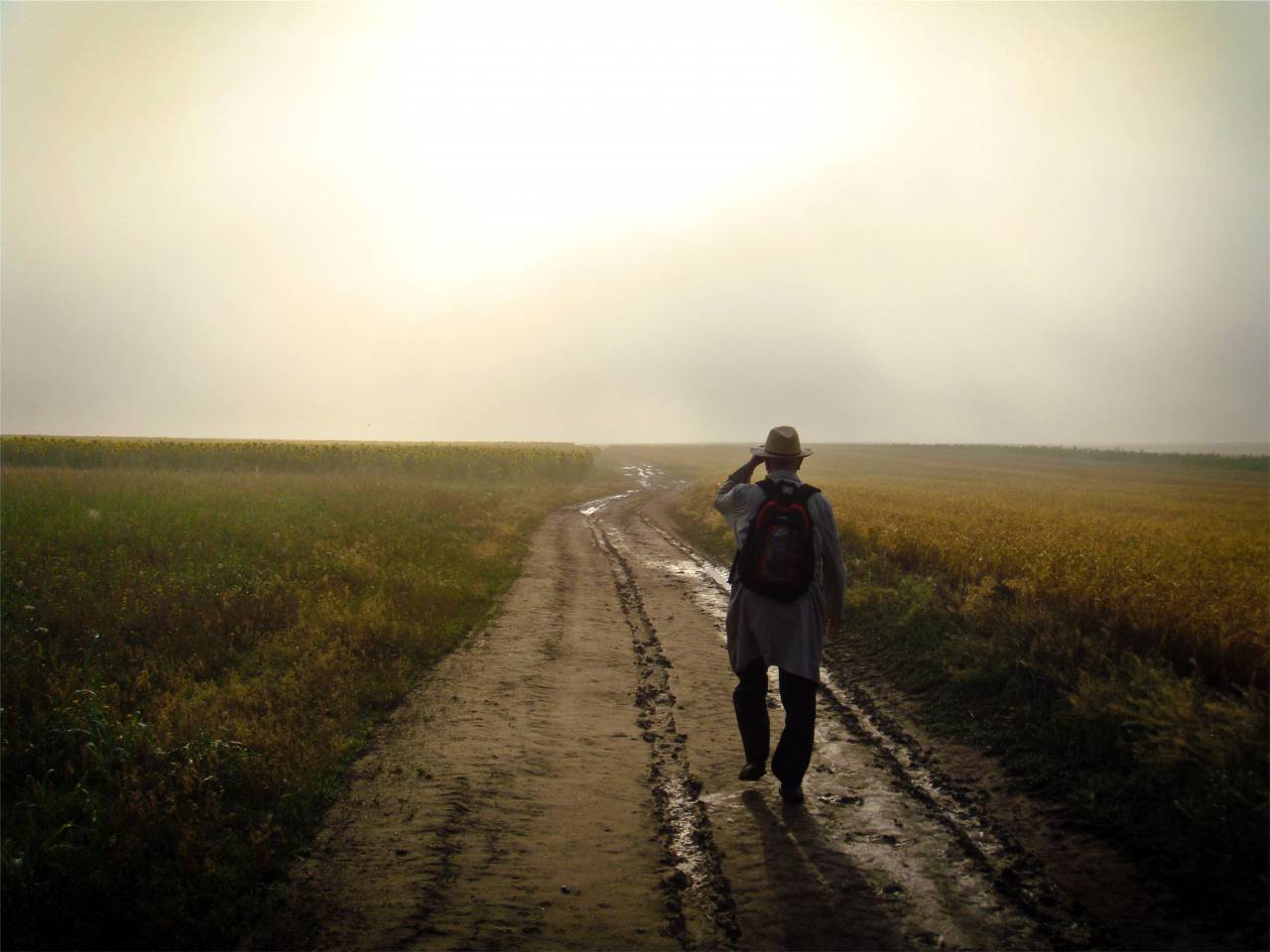 man, guy, walking, backpack, knapsack, hat, dirt, road, rural, fields, sunset, sky, dusk
, 
