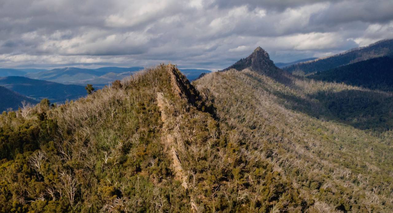 naturaleza, montaña, árboles, verde, viajes, nubes, montañas,