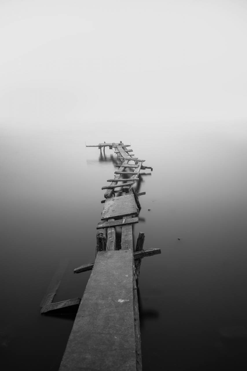nature, water, still, calm, surface, path, roads, bridge, makeshift, wood, ominous, black and white
, 