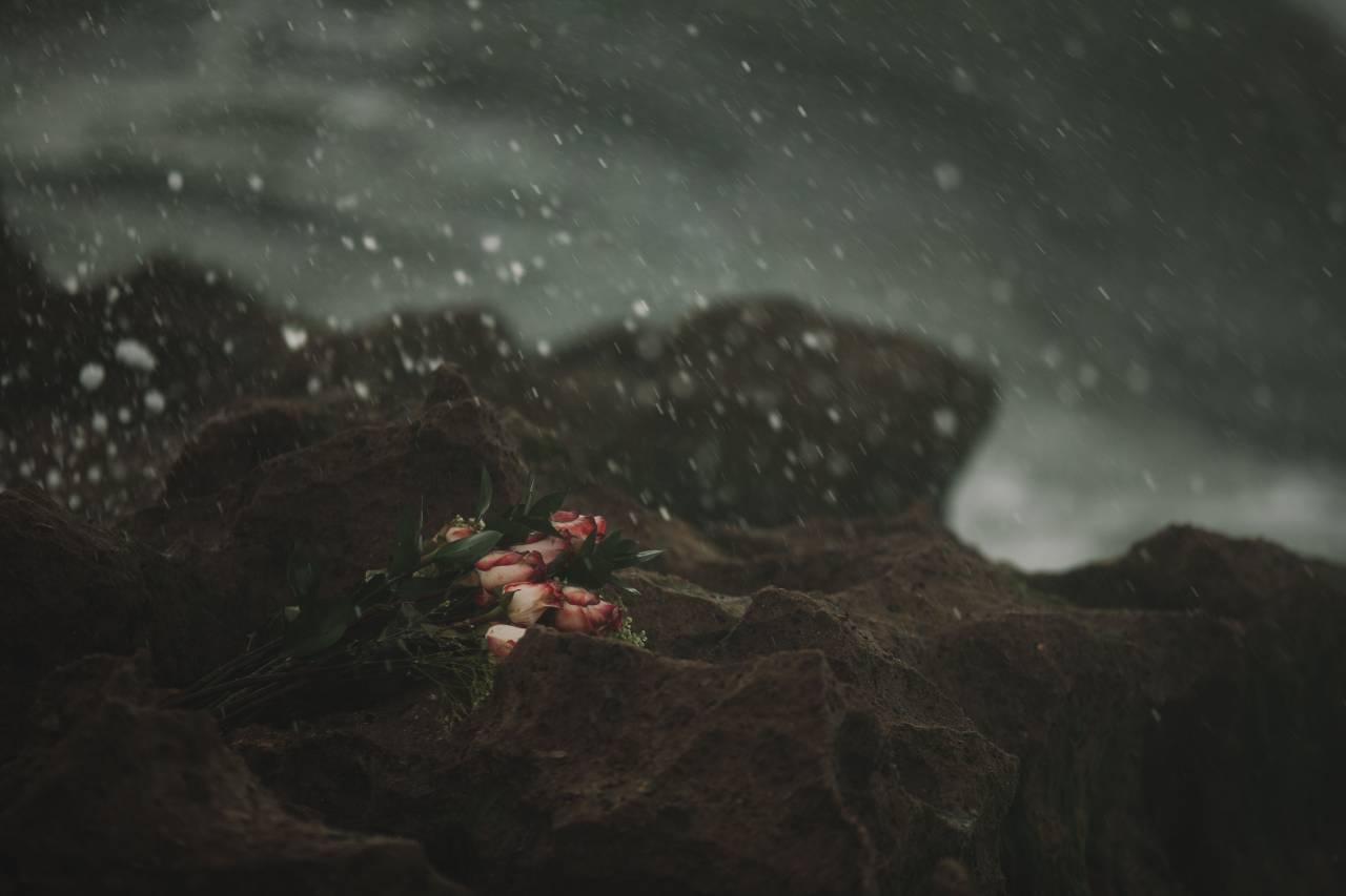 roses, flowers, bouquet, rocks, outdoors, nature, snowing, snow, raining
, 