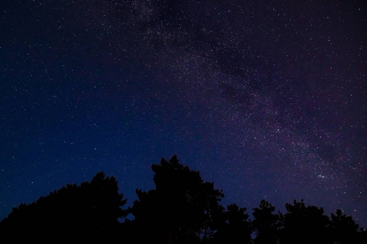 estrellas, cielo, noche, galaxia, oscuro, árboles, silueta, espacio, naturaleza,