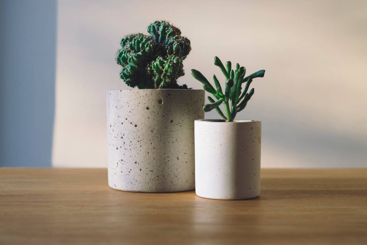 mesa, flor, maceta, verde, plantas,