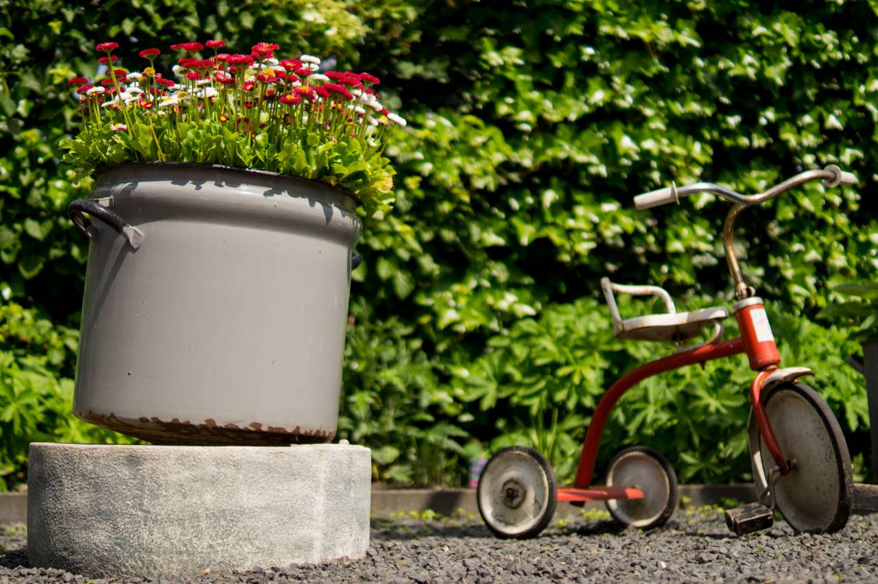 triciclo, macetas, flores, jardín, hojas,