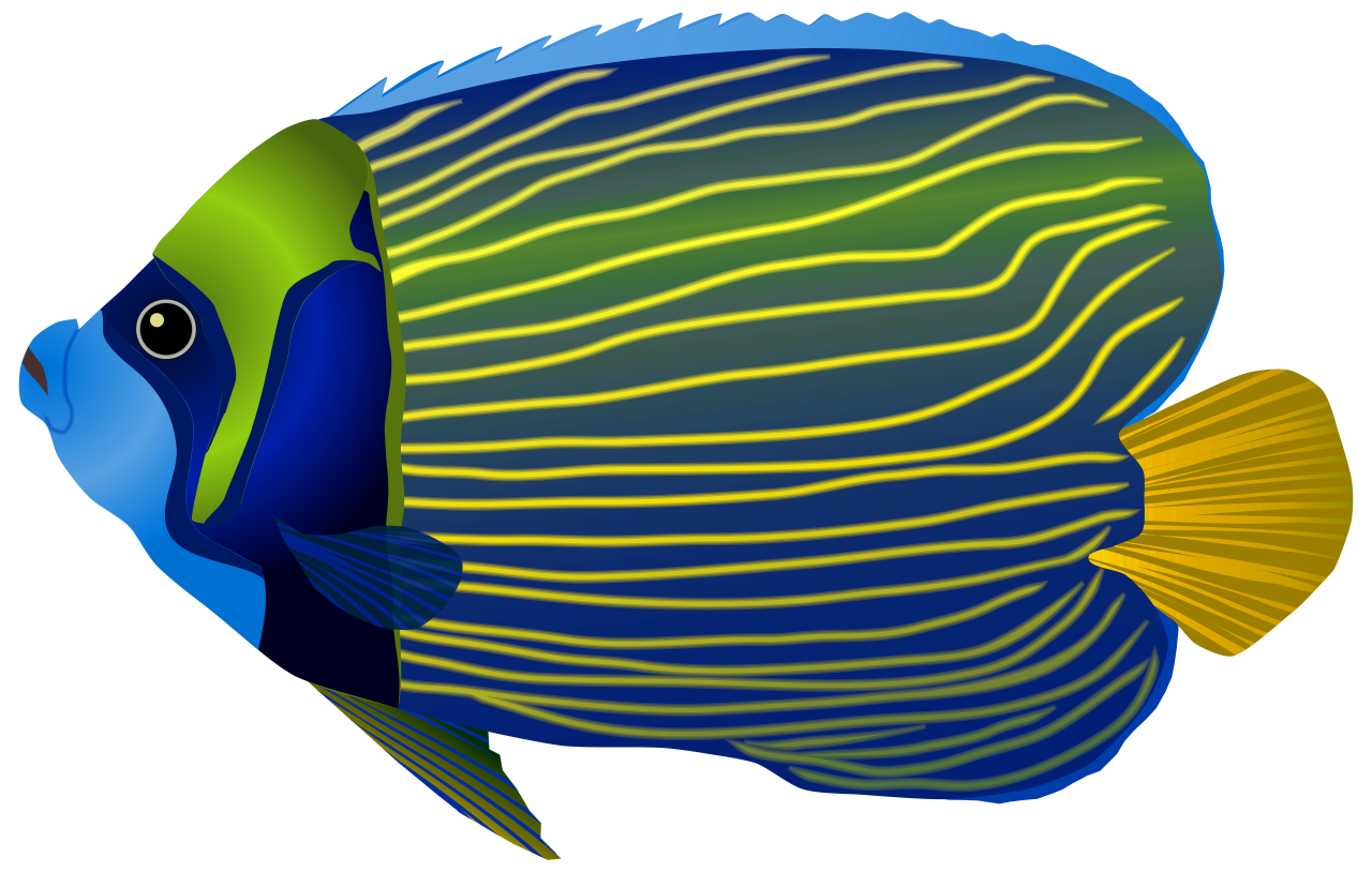  fish, nature, marine, sea, ocean, reef, underwater, coral, tropical, aquatic, animal, colorful, aquarium, wildlife, caribbean, exotic, environment, ecosystem, colony, coral reef, under water