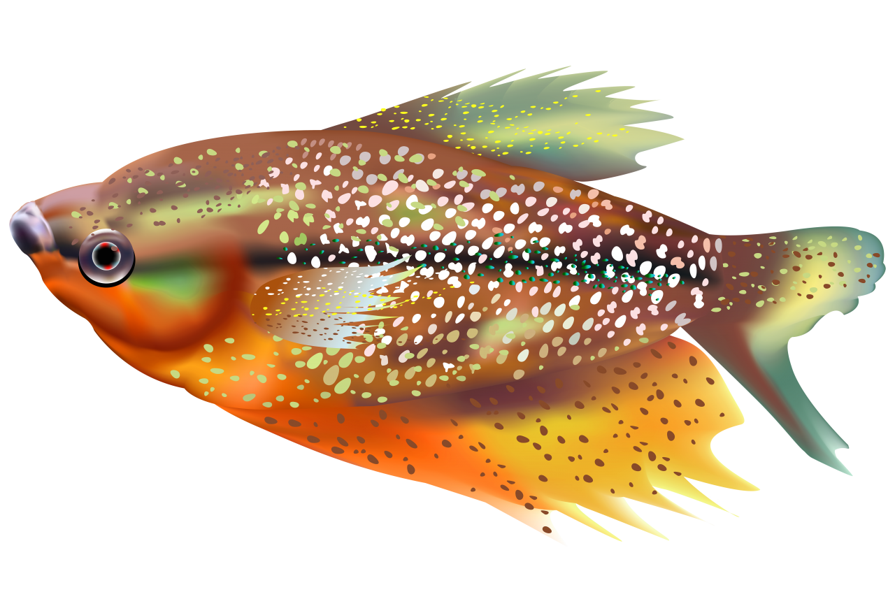  fish, nature, marine, sea, ocean, reef, underwater, coral, tropical, aquatic, animal, colorful, aquarium, wildlife, caribbean, exotic, environment, ecosystem, colony, coral reef, under water