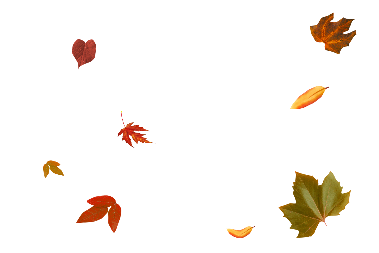  autumn leaves, overlay, png, leaf, autumn, nature, vector, illustration, backgrounds, symbol, design, yellow, season, abstract, collection, pattern