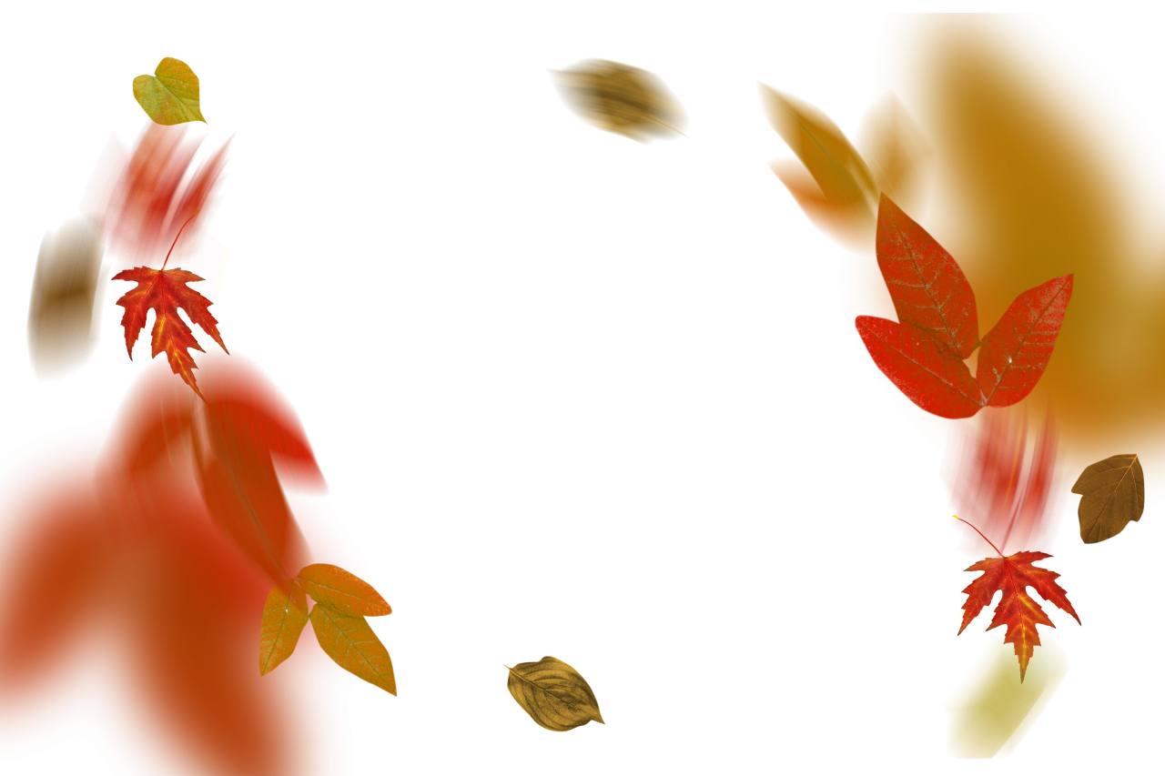  autumn leaves, overlay, png, leaf, autumn, nature, yellow, season, tree, backgrounds, plant, october, pattern, forest, illustration, september, abstract