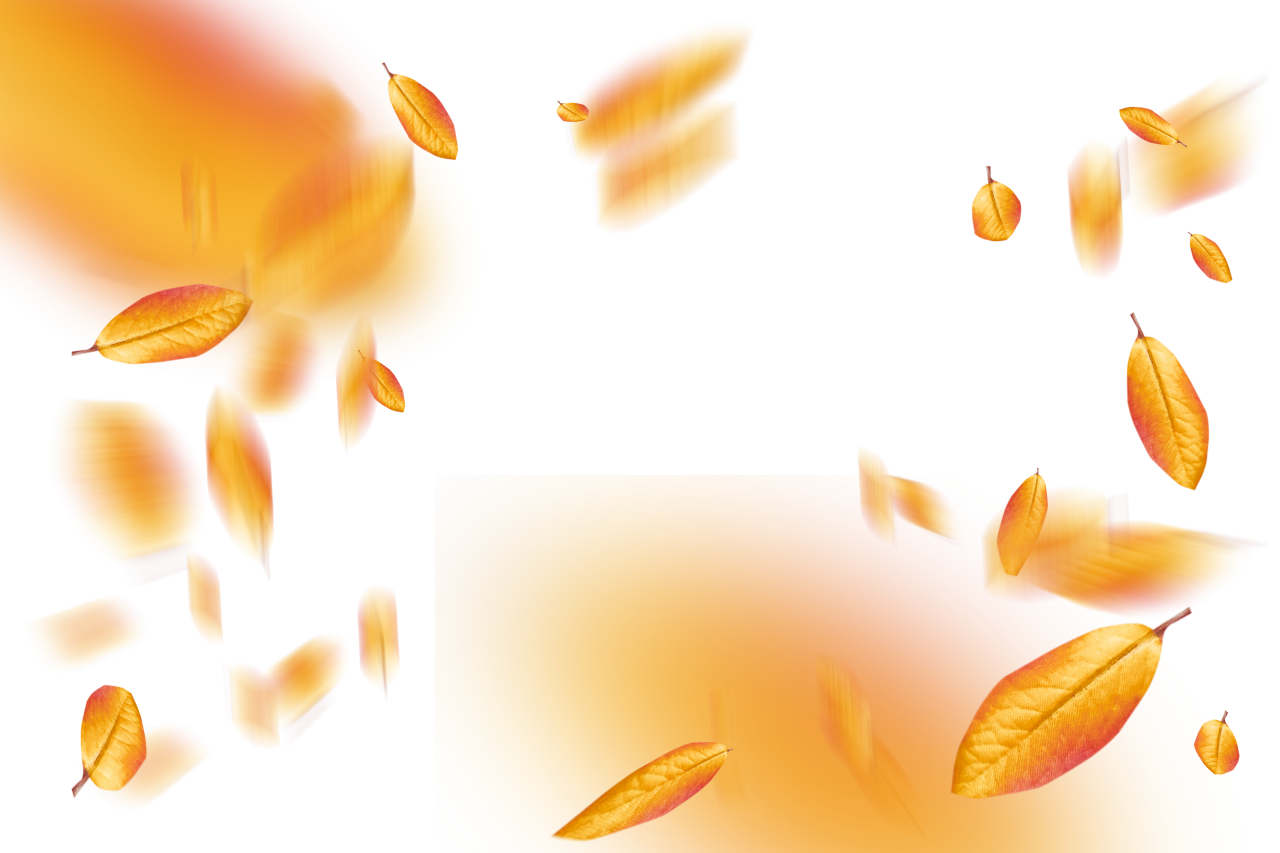  autumn leaves, overlay, png, leaf, autumn, nature, yellow, season, tree, backgrounds, plant, october, pattern, forest, illustration, september, abstract
