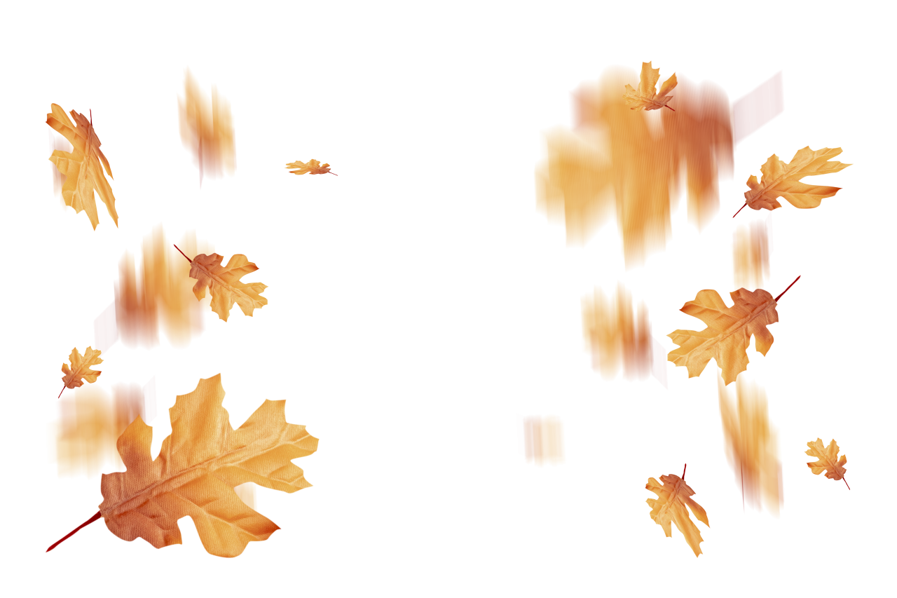  autumn leaves, overlay, png, leaf, autumn, nature, yellow, season, tree, backgrounds, plant, october, pattern, forest, illustration, september, abstract