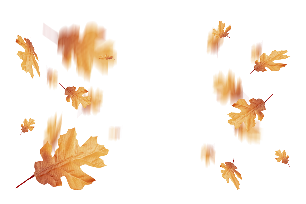  autumn leaves, overlay, png, leaf, autumn, nature, yellow, season, tree, backgrounds, plant, october, pattern, forest, illustration, september, abstract