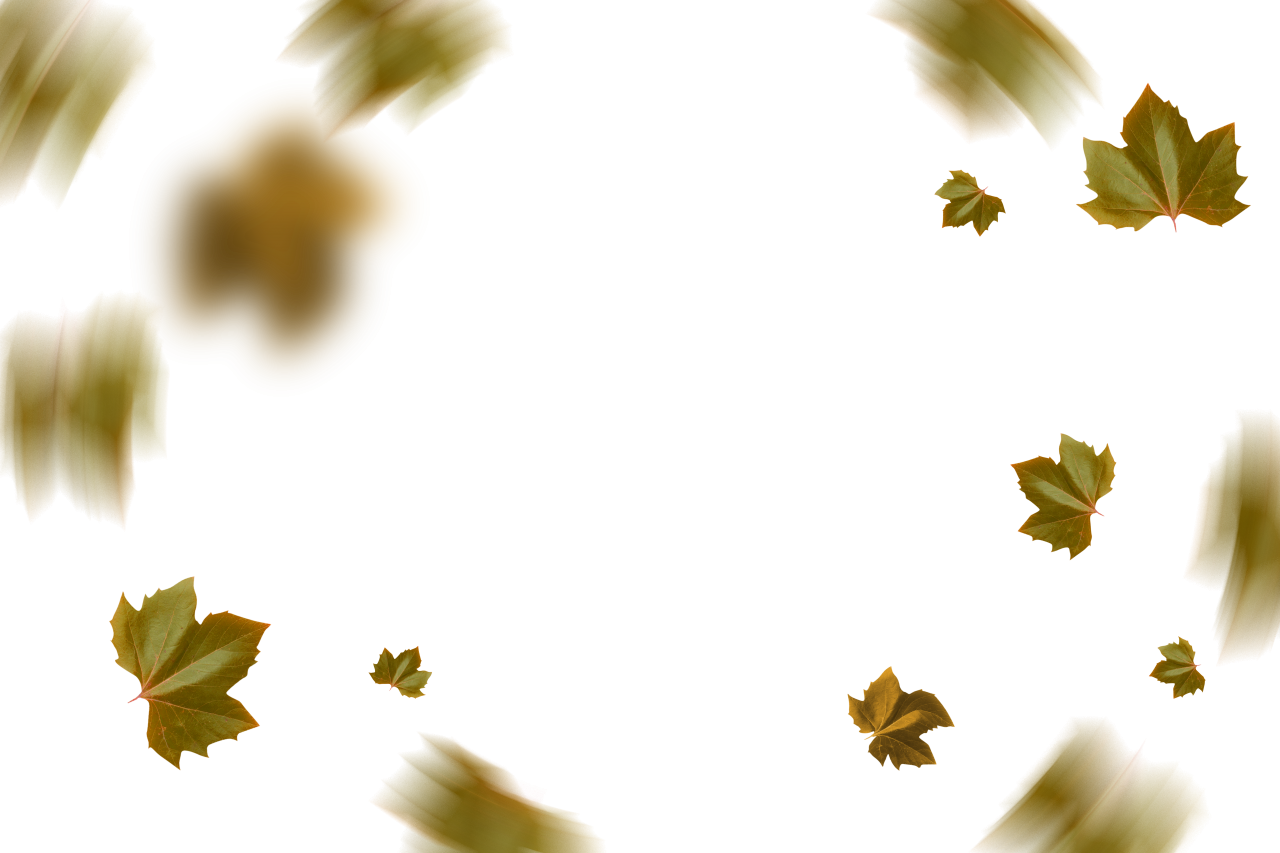  autumn leaves, overlay, png, leaf, autumn, backgrounds, nature, yellow, illustration, season, design, abstract, backdrop, pattern, vector