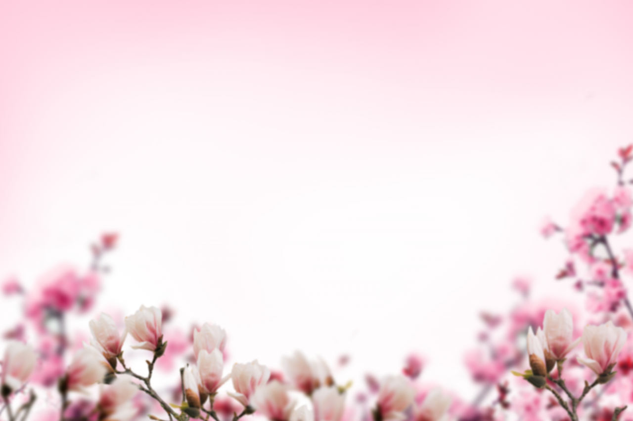  painted flowers,blur,background,overlay,png,nature,pink color,flower,springtime,plant,blossom,backgrounds,petal,close-up,flower head,freshness,summer,season,leaf,outdoors,branch,beauty in nature,tree,botany,day