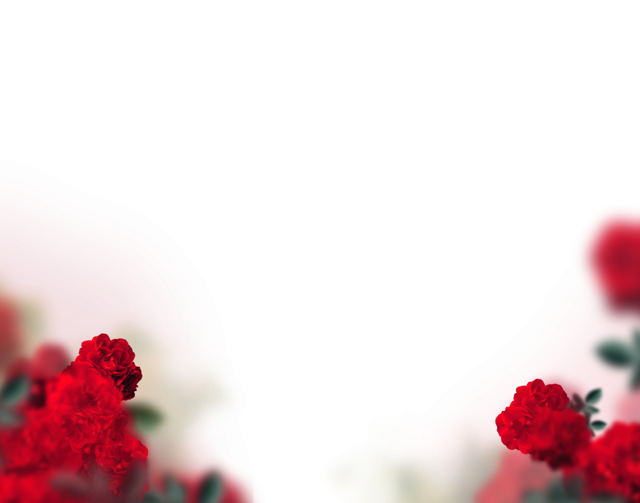flores pintadas,desenfoque,fondo,superposición,png,flor,fondos,naturaleza,ilustración,resumen,hoja,planta,diseño,vector,verano,patrón,decoración,flor,telón de fondo