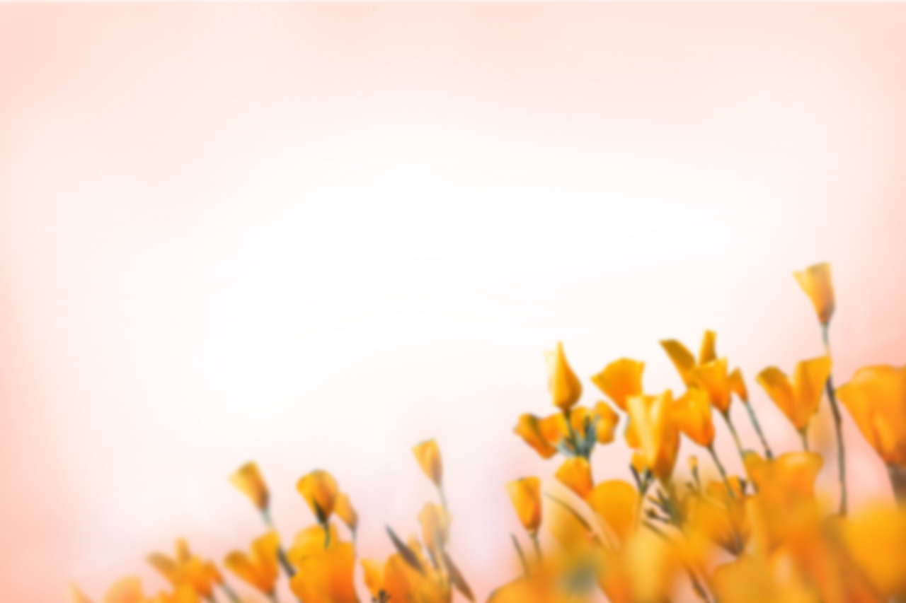  painted flowers,blur,background,overlay,png,nature,backgrounds,yellow,plant,leaf,flower,summer,close-up,multi colored,outdoors