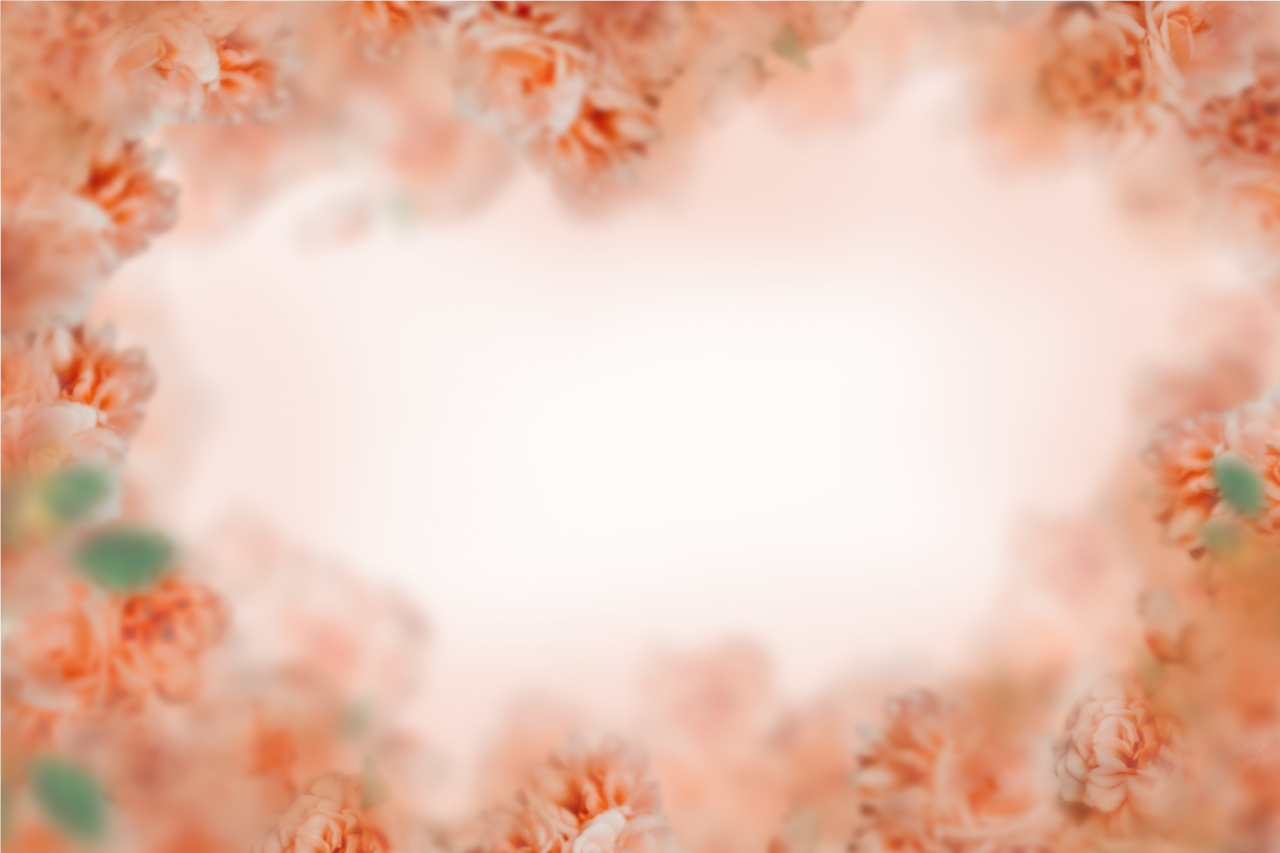 flores pintadas,desenfoque,fondo,superposición,png,naturaleza,fondos,flor,planta,verano,flor,hoja,decoración,color rosa,pétalo,resumen,patrón,telón de fondo,primavera,temporada,cabeza de flor,espacio de copia,diseño, primer plano, marco