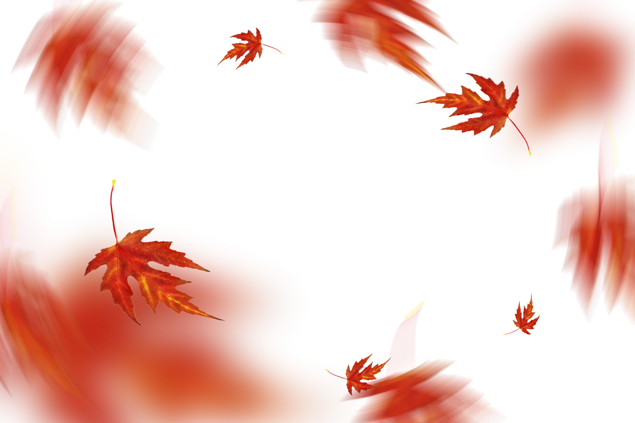  autumn leaves, overlay, png, backgrounds, yellow, nature, abstract, illustration, pattern, leaf, multi colored