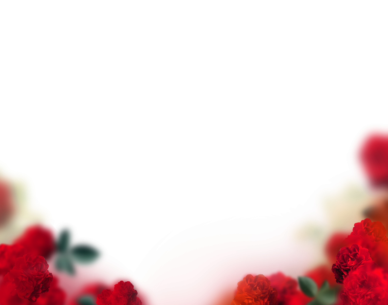 flores pintadas,desenfoque,fondo,superposición,png,fondos,resumen,ilustración,flor,naturaleza,diseño,telón de fondo,decoración,hoja,patrón,planta,vector,flor