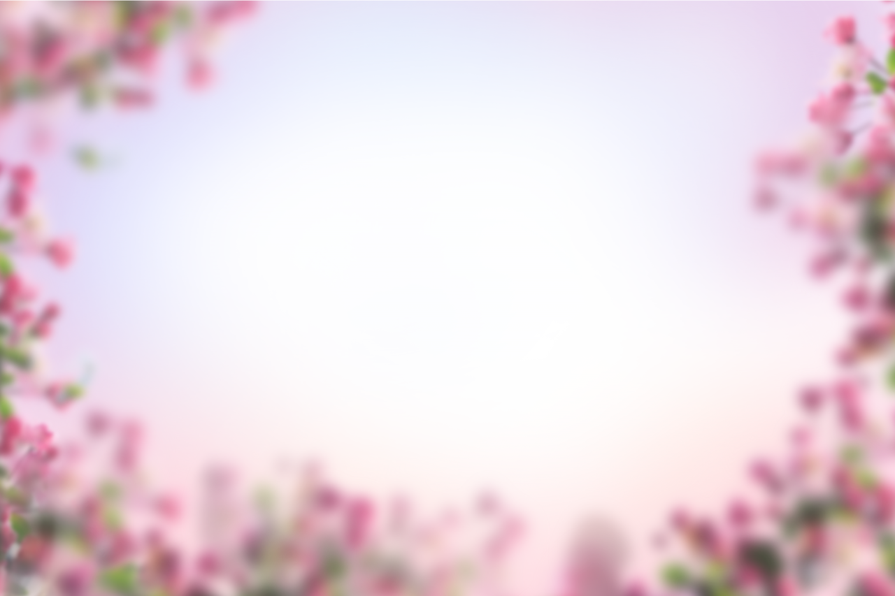  painted flowers,blur,background,overlay,png,nature,flower,pink color,springtime,plant,blossom,backgrounds,tree,season,summer,leaf,flower head,outdoors,petal,branch,abstract,defocused,beauty in nature,freshness,multi colored,blue,day,sunset,close-up,beauty,cherry blossom