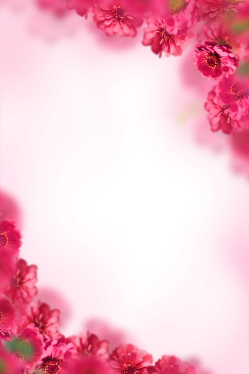  painted flowers,blur,background,overlay,png,flower,nature,plant,pink color,blossom,backgrounds,petal,leaf,decoration,pattern,abstract,flower head,close-up,summer,freshness,design