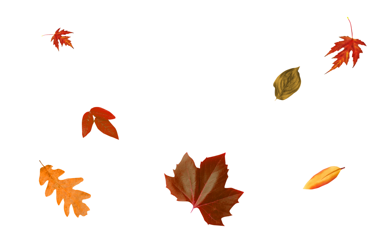  autumn leaves, overlay, png, leaf, autumn, nature, illustration, vector, symbol, design, backgrounds, collection, yellow, season, pattern