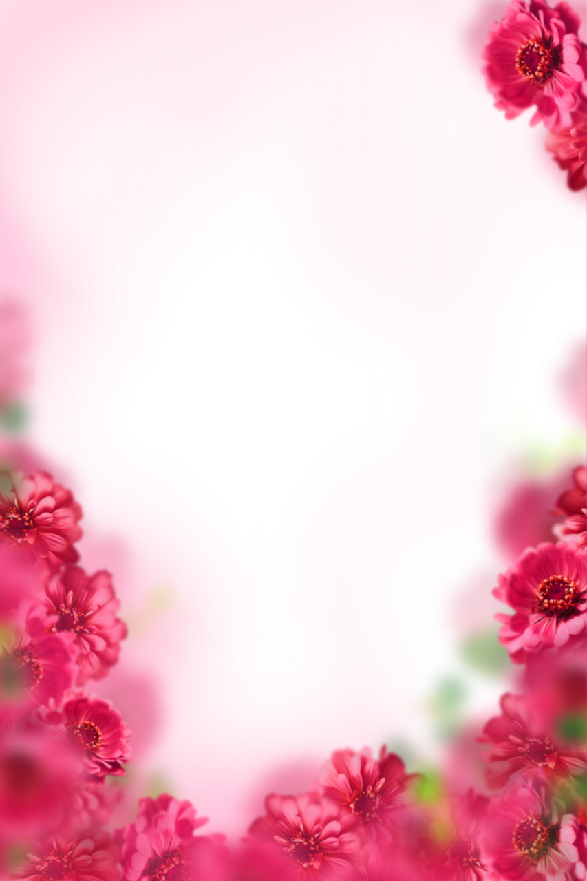  painted flowers,blur,background,overlay,png,nature,flower,backgrounds,plant,pink color,summer,leaf,blossom,design,illustration,close-up