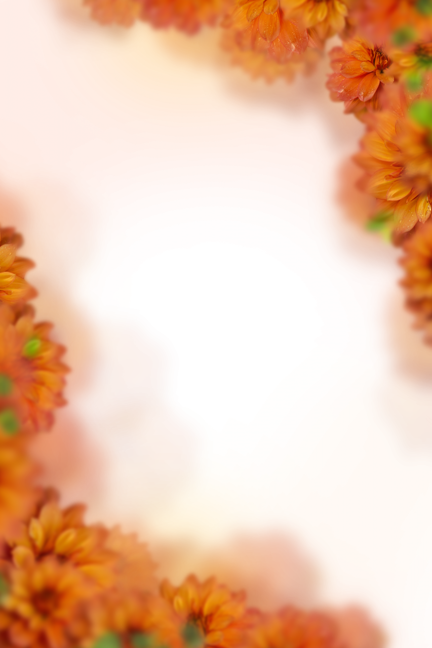 flores pintadas,desenfoque,fondo,superposición,png,naturaleza,flor,fondos,planta,hoja,amarillo,resumen,temporada,ilustración,decoración,multicolor,verano,telón de fondo,diseño,patrón,otoño