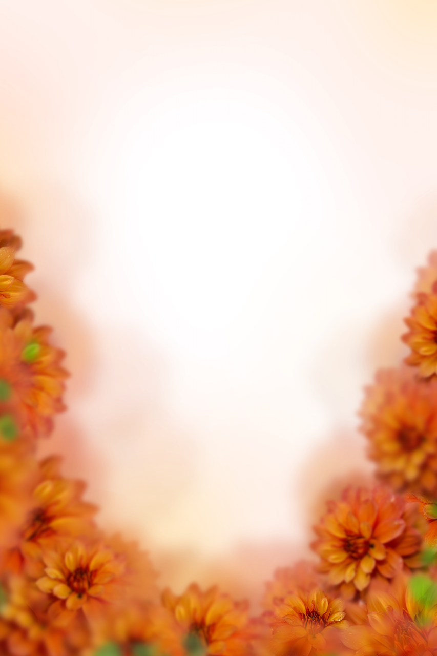  painted flowers,blur,background,overlay,png,flower,nature,backgrounds,plant,yellow,abstract,leaf,summer,backdrop,multi colored