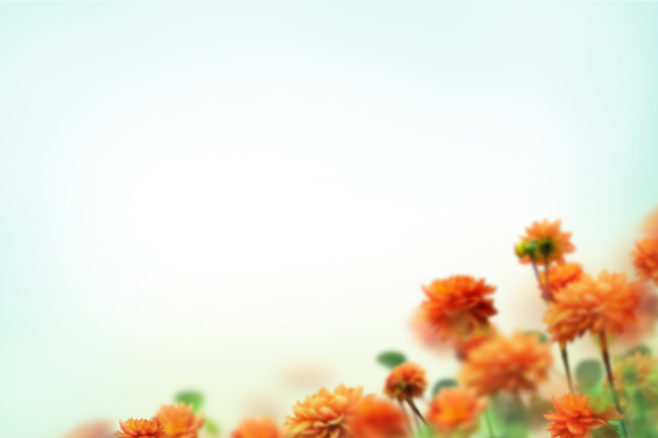  painted flowers,blur,background,overlay,png,nature,summer,flower,plant,green color,grass,backgrounds,meadow,outdoors,illustration,blue,yellow,leaf