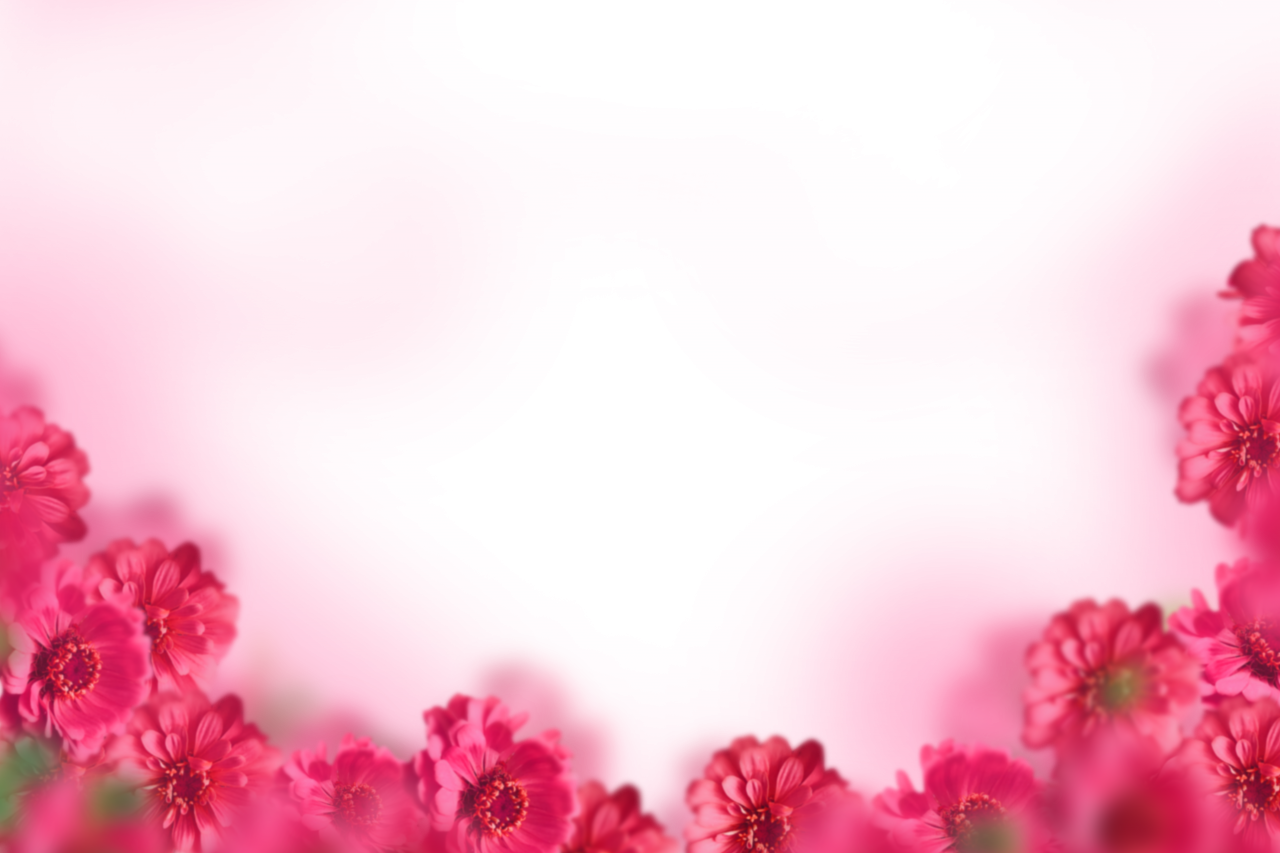  painted flowers,blur,background,overlay,png,nature,plant,flower,backgrounds,leaf,summer,pink color,blossom,design,season,pattern,decoration,close-up,petal,abstract