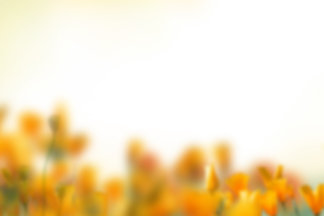  painted flowers,blur,background,overlay,png,backgrounds,abstract,nature,illustration,yellow,backdrop,multi colored,vector,leaf,flower,design,pattern,summer,plant