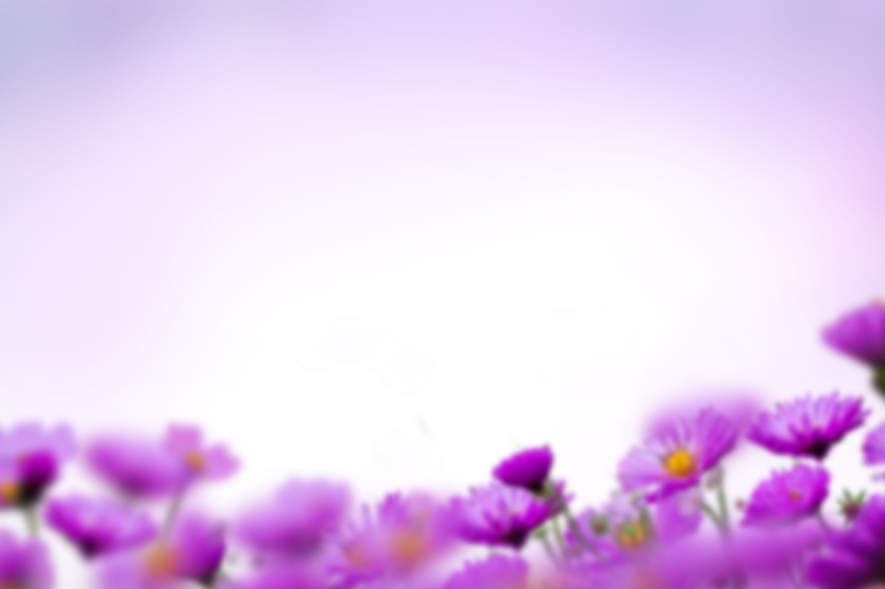  painted flowers,blur,background,overlay,png,flower,nature,plant,backgrounds,summer,blossom,purple,springtime,freshness,design,grass,outdoors,illustration