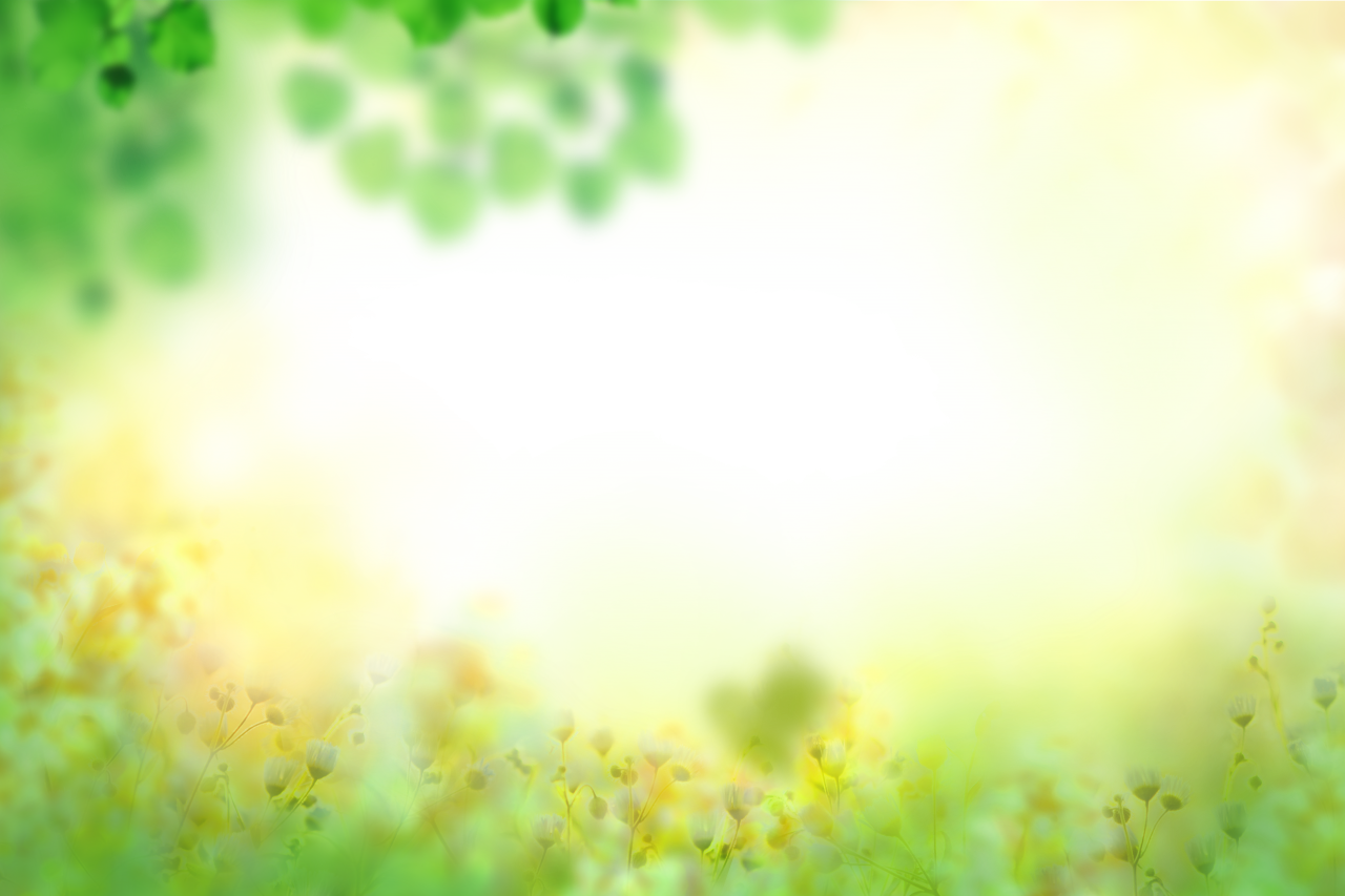  painted flowers,blur,background,overlay,png,nature,summer,grass,plant,backgrounds,outdoors,green color,leaf,meadow,springtime,flower,freshness,season,day,landscape,beauty in nature,sun,abstract,growth,yellow,tree