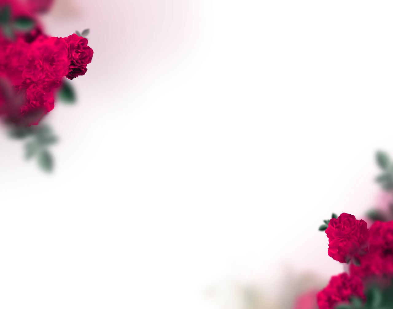 flores pintadas,desenfoque,fondo,superposición,png,flor,fondos,naturaleza,ilustración,resumen,diseño,decoración,planta,hoja,flor,patrón,vector