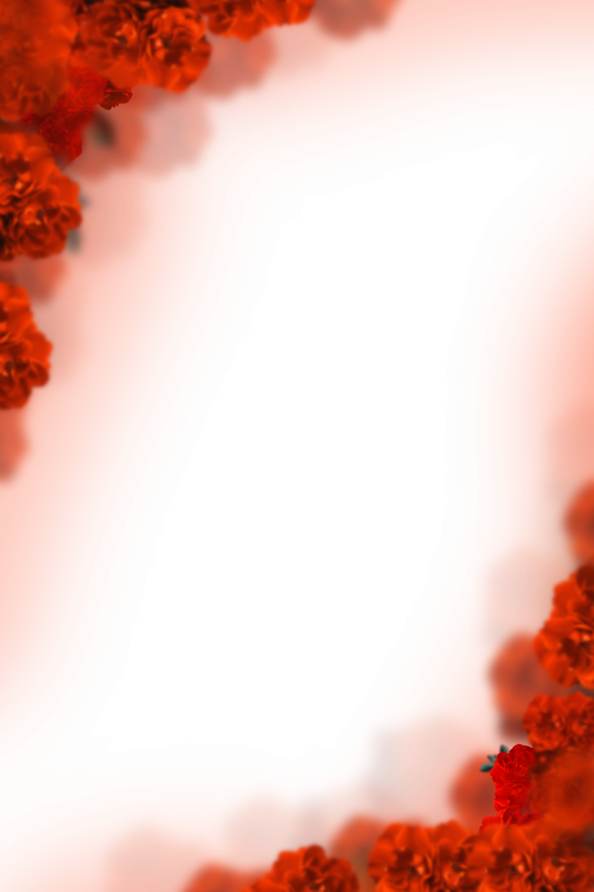 flores pintadas,desfoque,plano de fundo,sobreposição,planos de fundo,ilustração,natureza