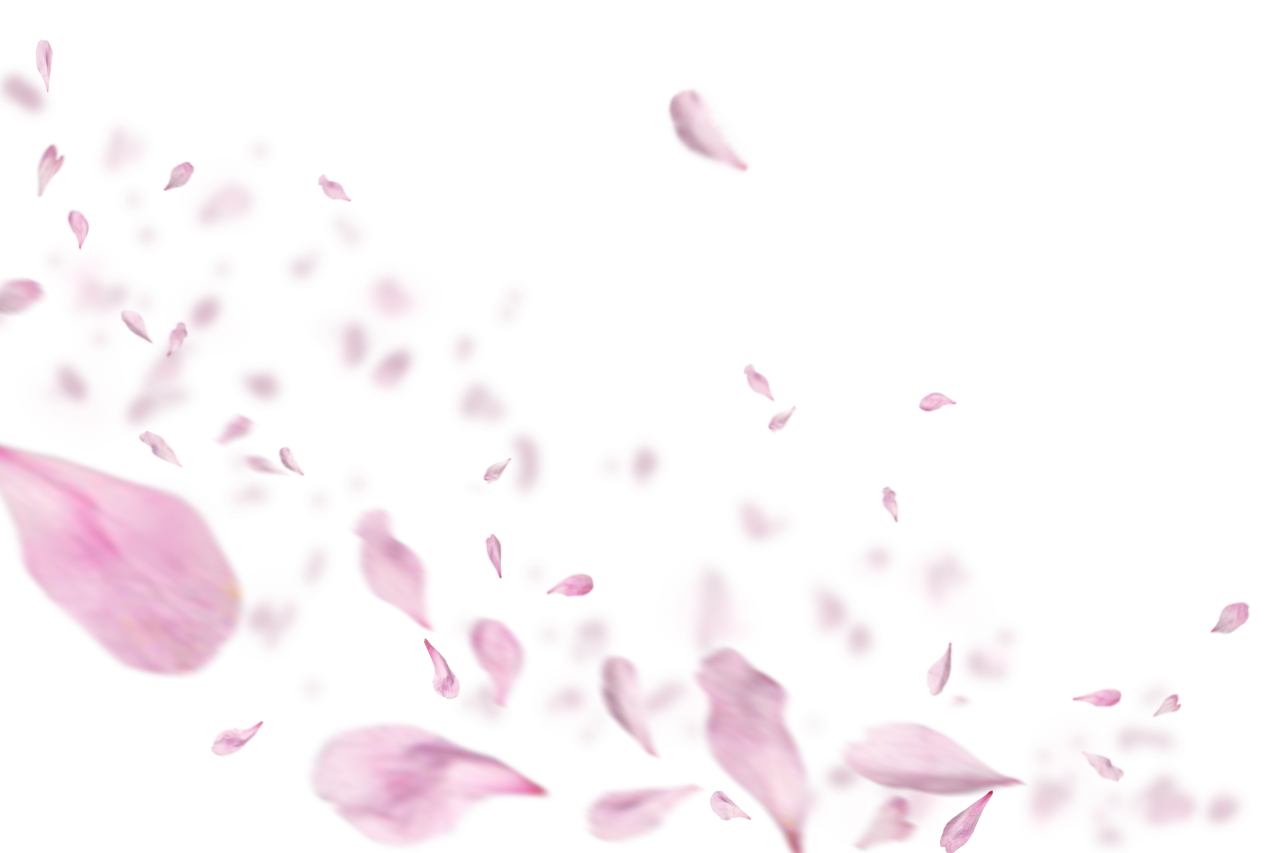  pink petals,overlay,png,nature,illustration,vector,backgrounds,leaf,design,flower,flying,plant,decoration