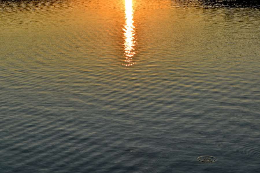 calma, reflexión, rayos de sol, olas, mar, océano