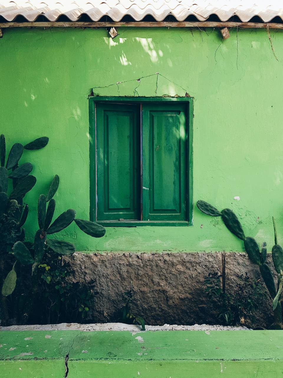 house;windows;green;caribbean,window,green color,architecture,outdoors,old,nature,building exterior,wall,building feature, 