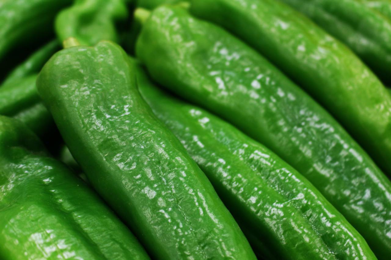 green peppers,freshness,nature,green color,close-up,food,vegetable,plant,leaf,healthy eating,organic,wet,backgrounds, 